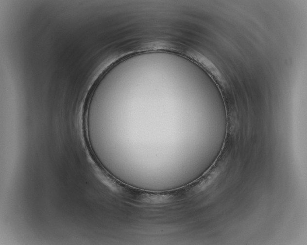 X0000111951039200908101218