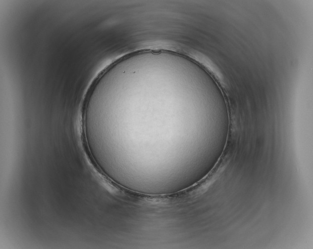X0000111951040200908101218