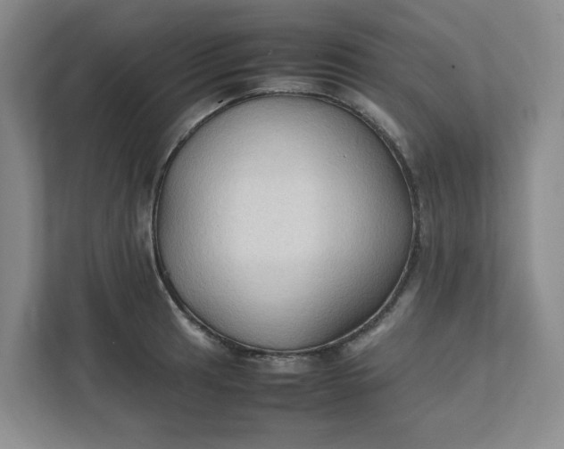 X0000111951041200908101218