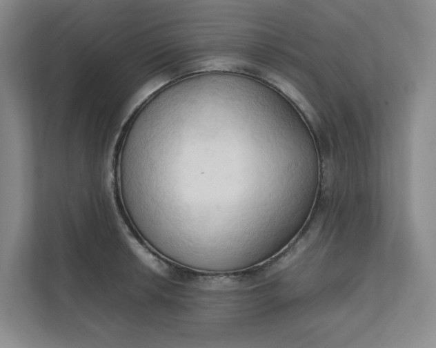 X0000111951042200908101218