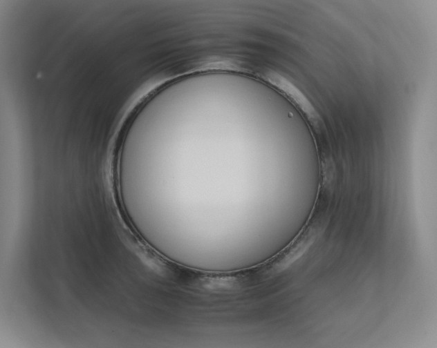 X0000111951043200908101218