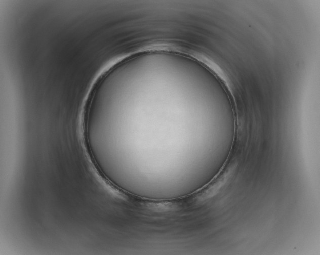 X0000111951045200908101218