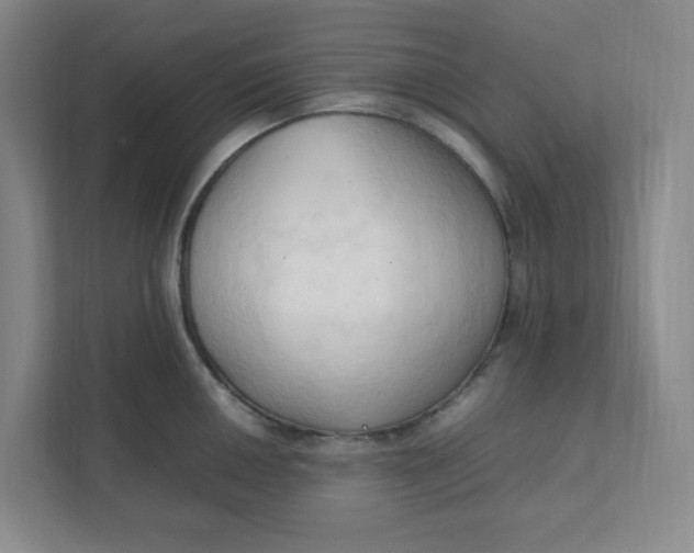 X0000111951050200908101218
