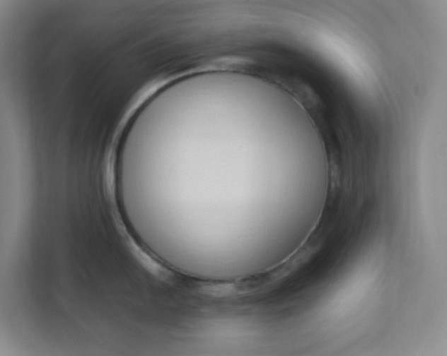 X0000111951054200908101218