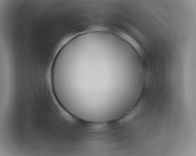 X0000111951055200908101218