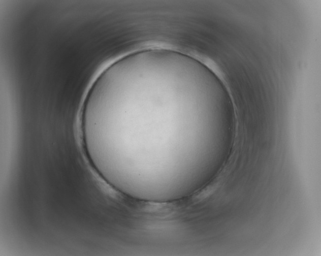 X0000111951056200908101218