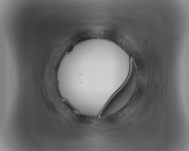 X0000111951057200908101218