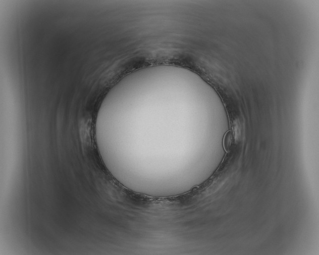 X0000111951059200908101218