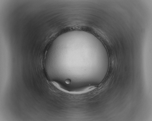 X0000111951060200908101218