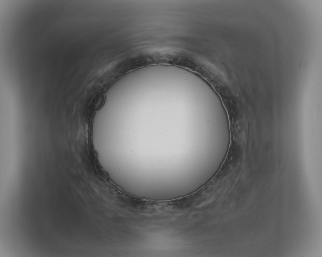 X0000111951061200908101218