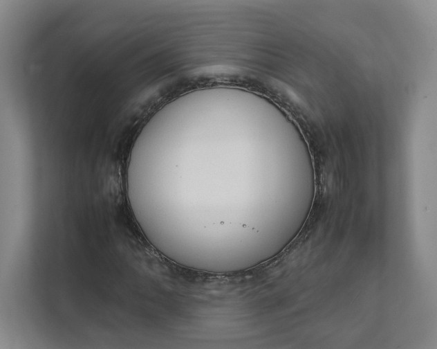 X0000111951062200908101218
