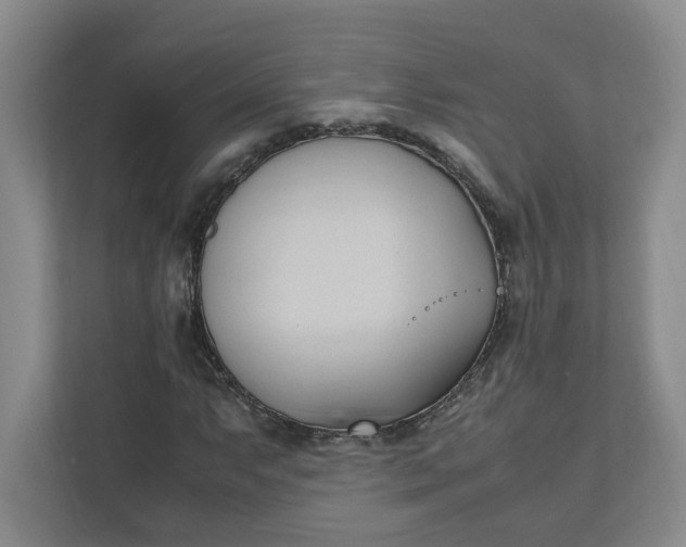 X0000111951063200908101218