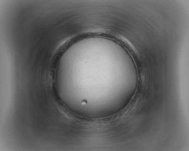X0000111951064200908101218