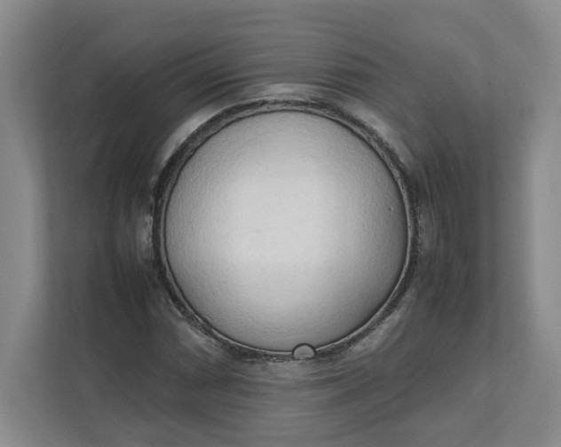 X0000111951066200908101218