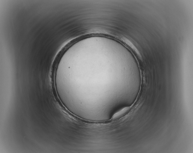 X0000111951068200908101218