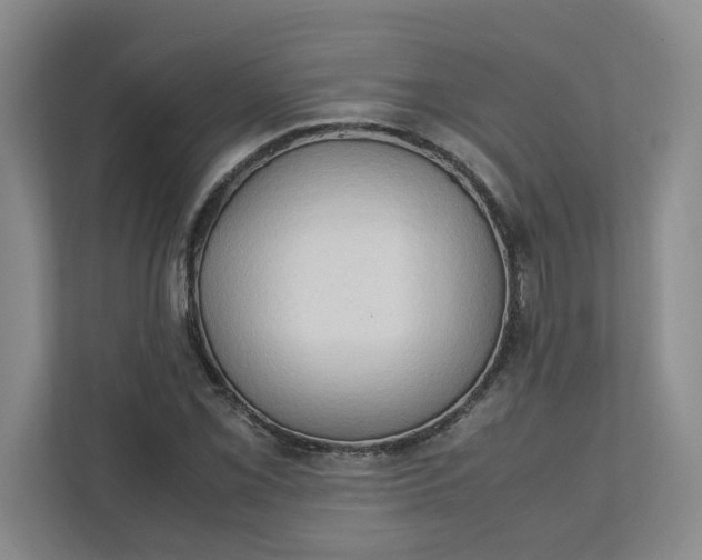 X0000111951069200908101218