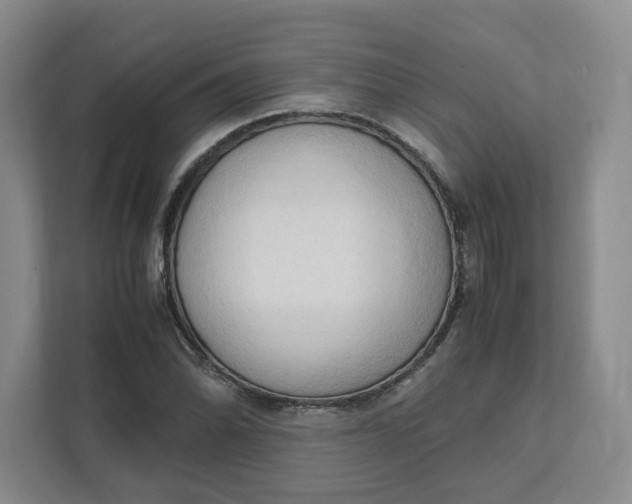 X0000111951070200908101218