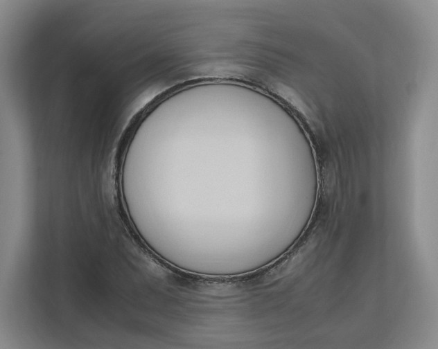 X0000111951071200908101218
