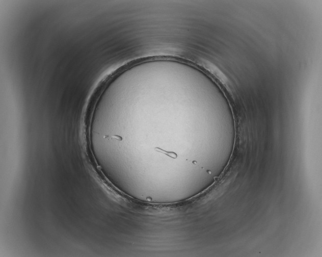 X0000111951072200908101218