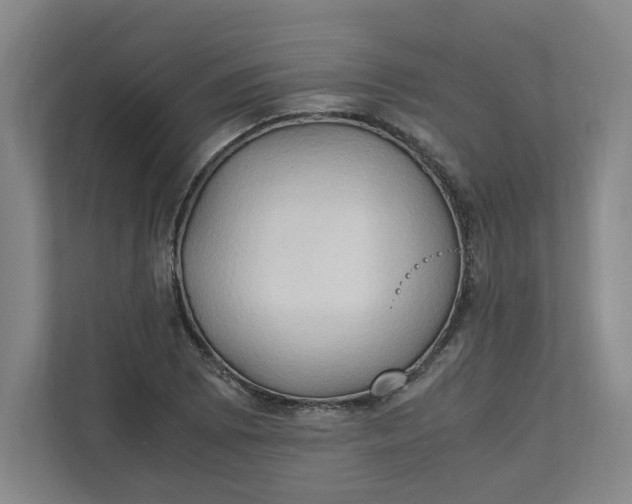 X0000111951073200908101218