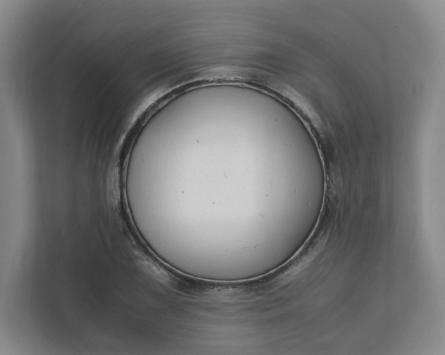 X0000111951075200908101218