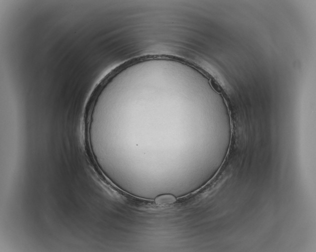 X0000111951076200908101217