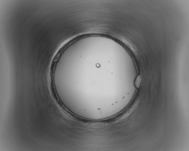 X0000111951077200908101217
