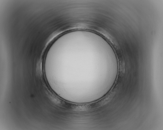 X0000111951078200908101217