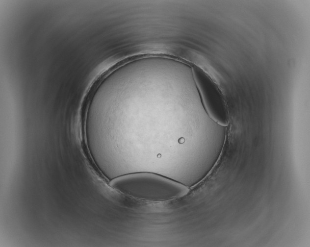 X0000111951080200908101217