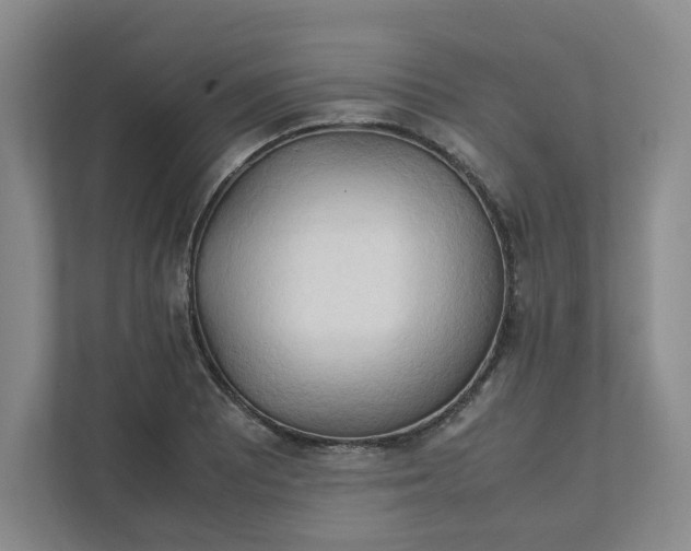 X0000111951081200908101217
