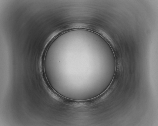 X0000111951082200908101217
