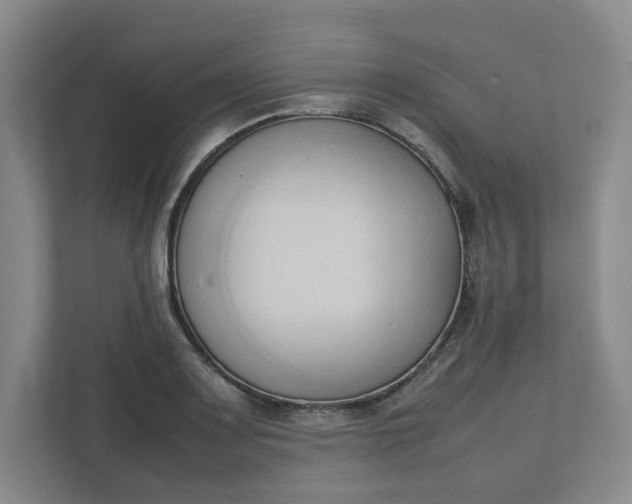 X0000111951083200908101217