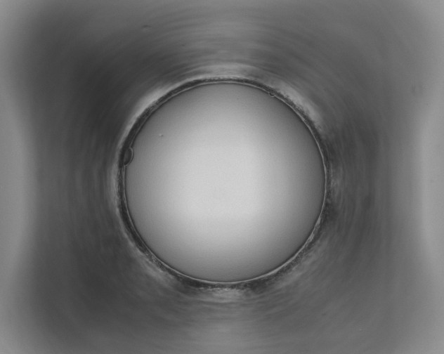 X0000111951085200908101217