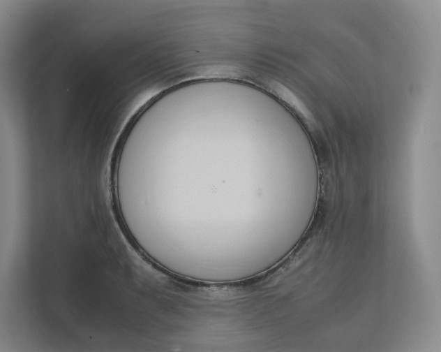 X0000111951087200908101217