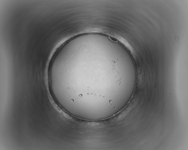 X0000111951088200908101217