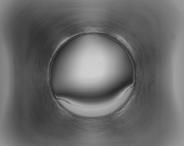 X0000111951089200908101217