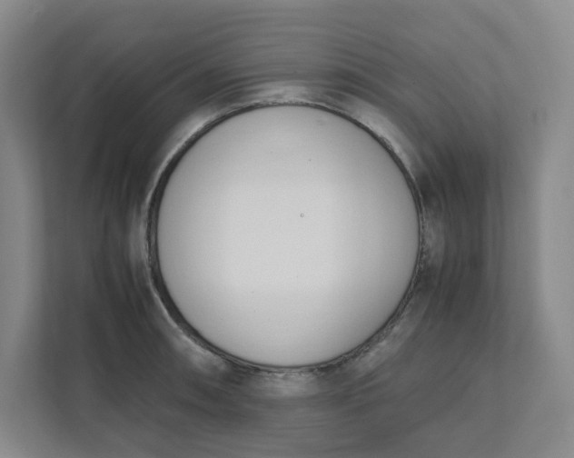 X0000111951090200908101217