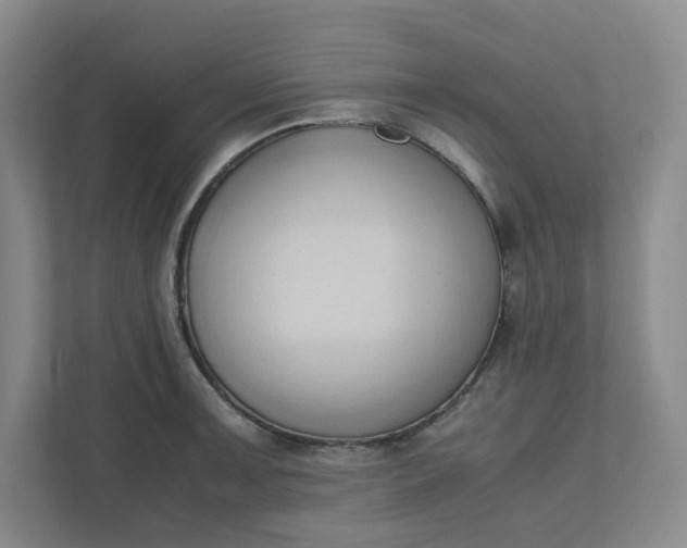 X0000111951091200908101217