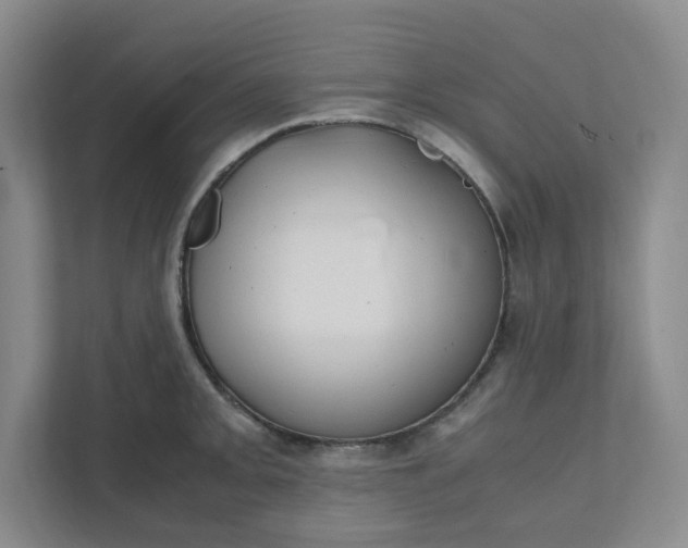 X0000111951093200908101217