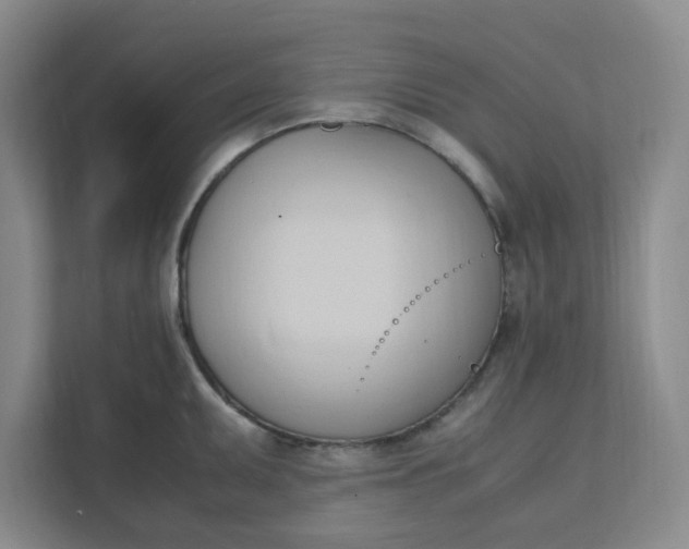 X0000111951095200908101217