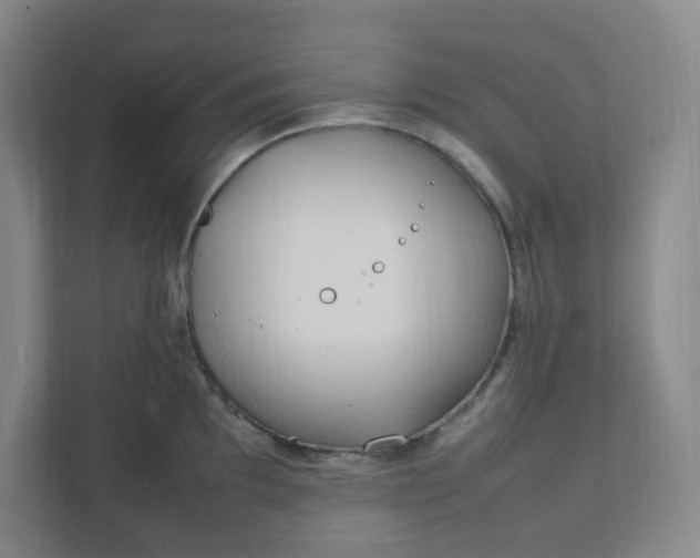 X0000111951097200908101217