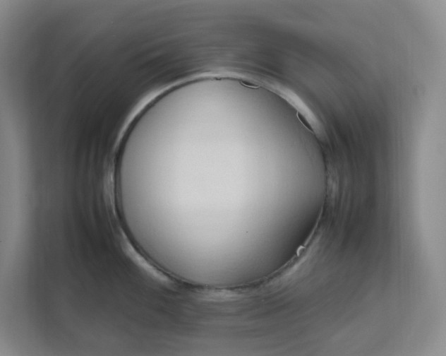 X0000111951100200908101217