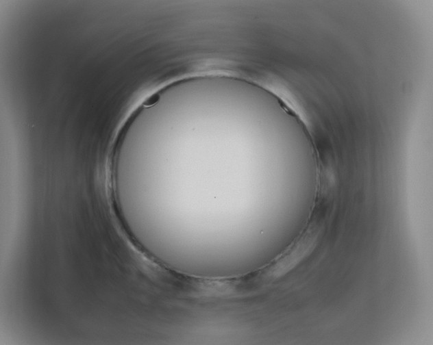 X0000111951101200908101217