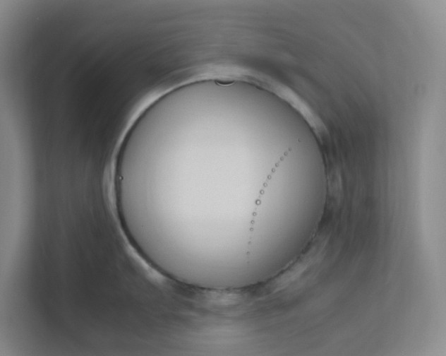 X0000111951103200908101217