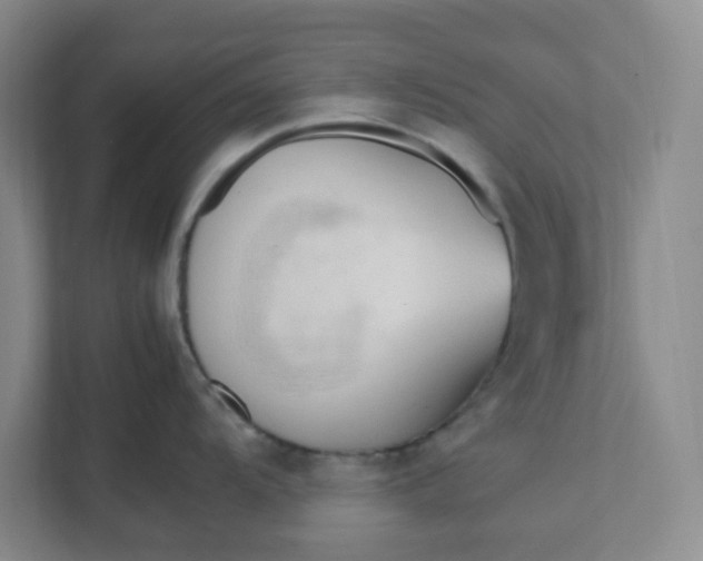 X0000111951104200908101217