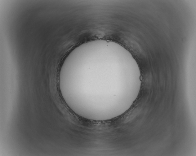 X0000111951105200908101217
