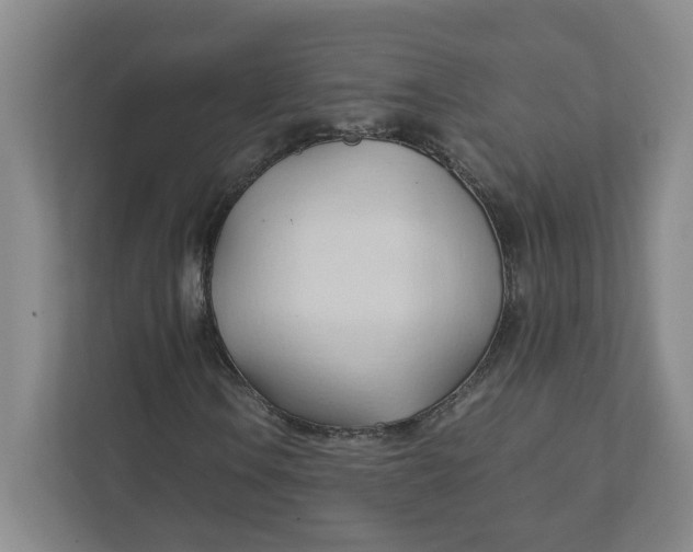 X0000111951106200908101217