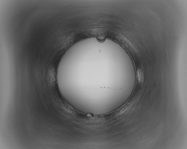 X0000111951107200908101217