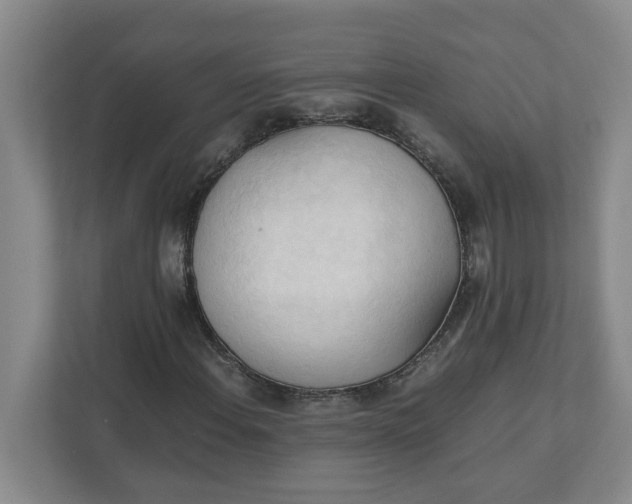 X0000111951108200908101217
