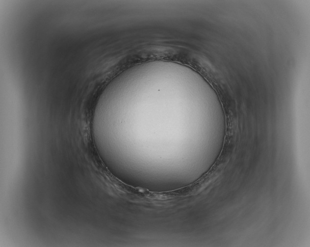X0000111951109200908101217